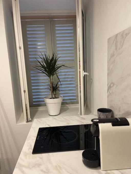 Grand Studio Neuf A 50 M Du Port Saint Tropez Bagian luar foto